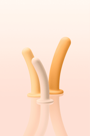 Bellesa Luxe Dildo