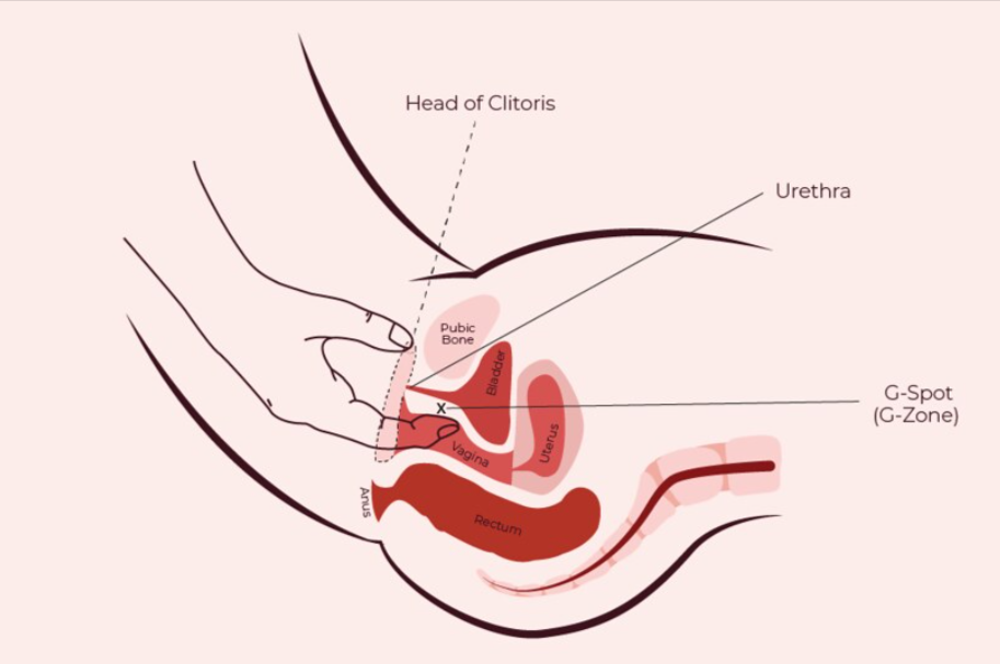 best sex positions for g spot