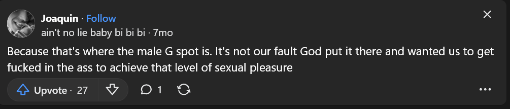 screenshot from Quora comment on how prostate stimulation feels good